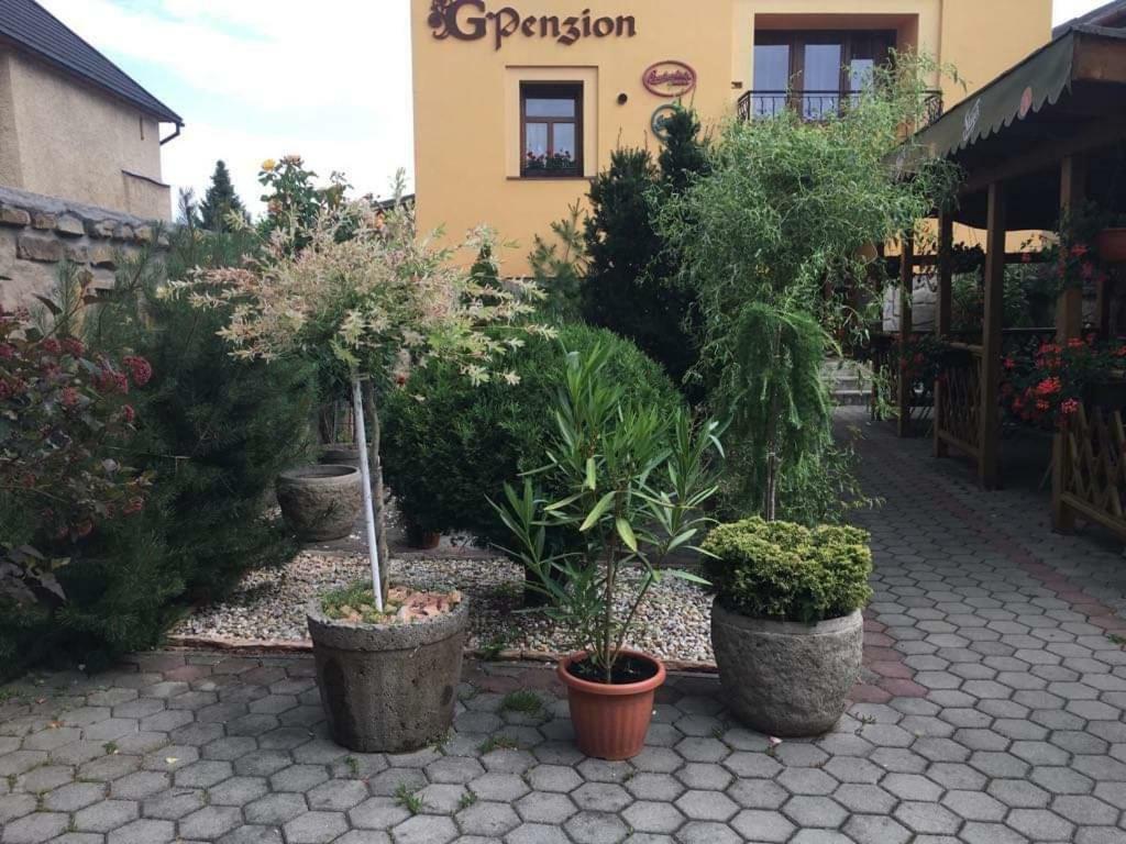 G Penzion Spisska Bela Exteriér fotografie